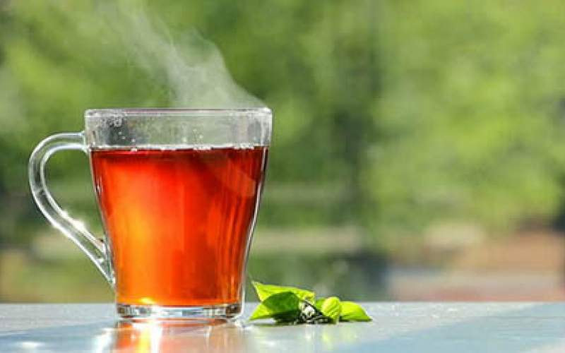 خرید چای سیاه لنگر + قیمت فروش استثنایی